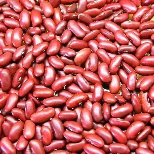 Rajma