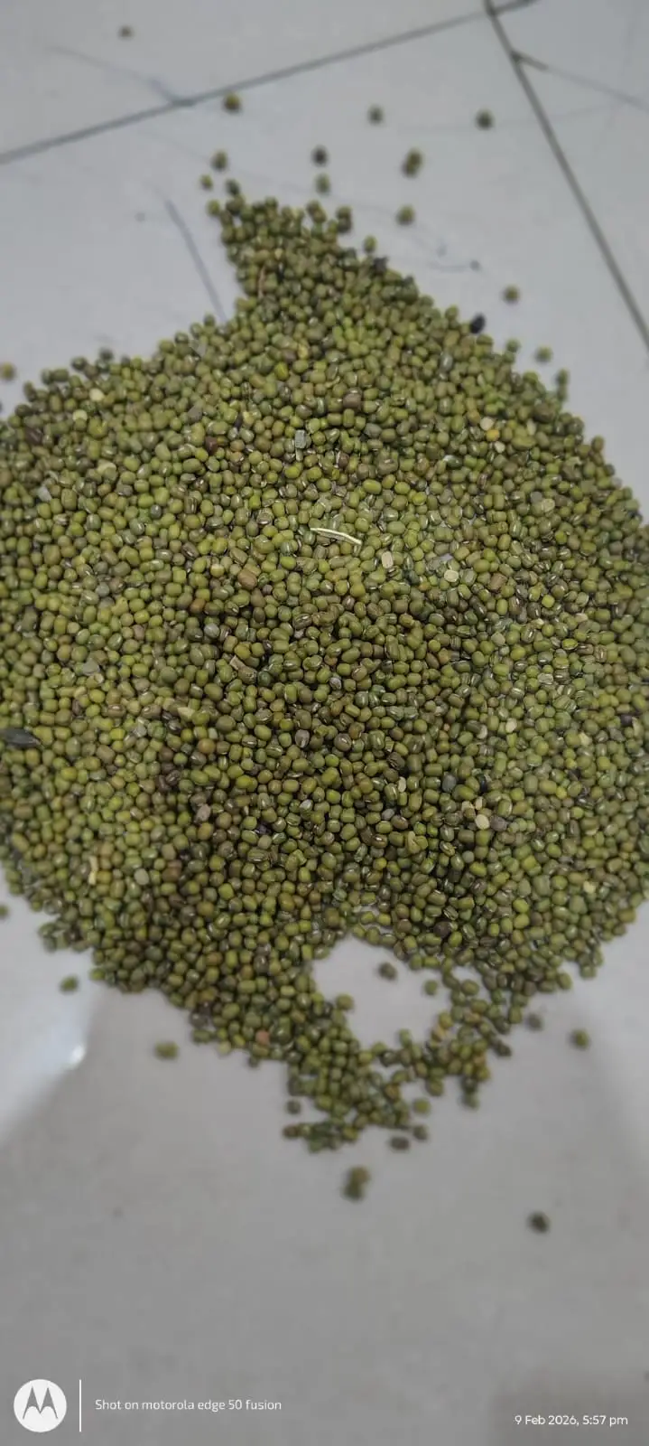 Desi Moong